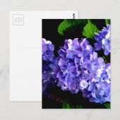 Elegante paarse bloemenblauwe paarse hortensia's briefkaart (Voorkant / Achterkant)