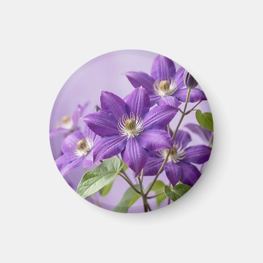 Elegante Paarse Clematis Bloei Magneet (Voorkant)