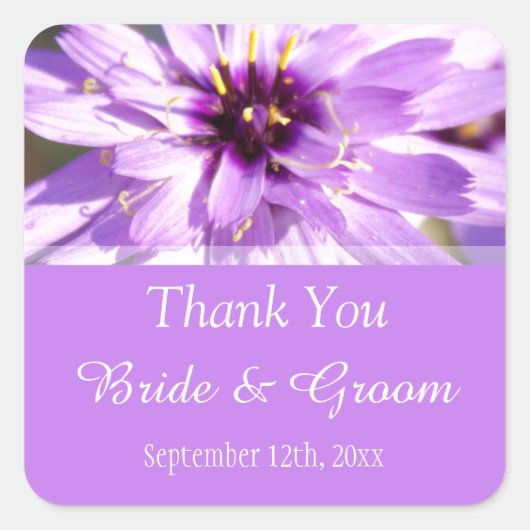Elegante,  paarse dagbloem bedankt vierkante sticker (Voorkant)