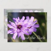 Elegante,  paarse dagbloem, behalve de datum aankondigingskaart (Voorkant / Achterkant)
