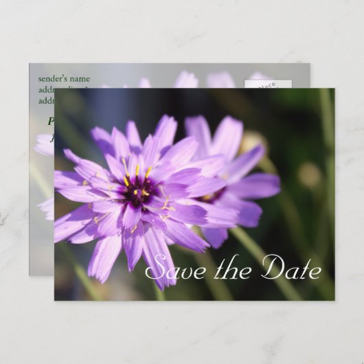 Elegante, paarse dagbloem, behalve de datum aankondigingskaart (Voorkant / Achterkant)
