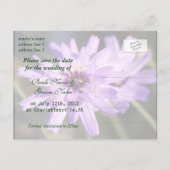 Elegante,  paarse dagbloem, behalve de datum aankondigingskaart (Achterkant)