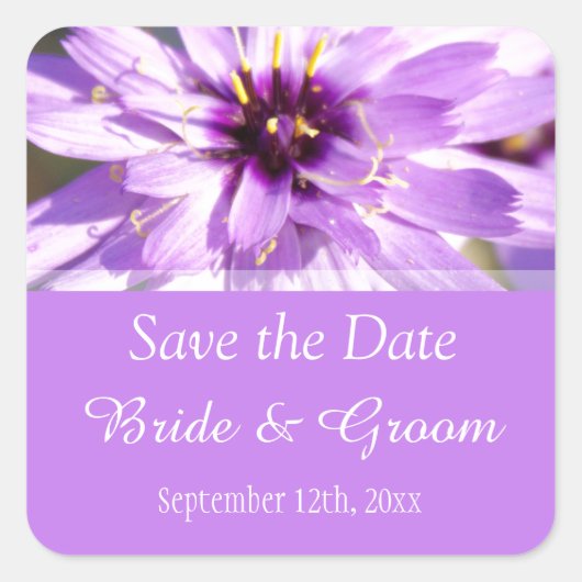 Elegante,  paarse dagbloem, behalve de datum vierkante sticker (Voorkant)