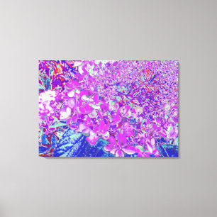 Elegante Paarse en Blauwe Limelight Hortensia Canvas Afdruk