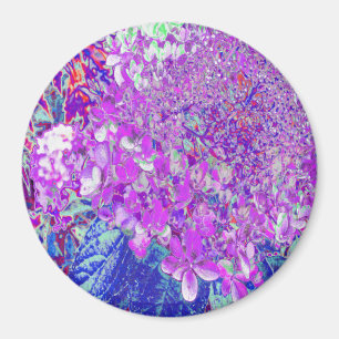 Elegante Paarse en Blauwe Limelight Hortensia Magneet