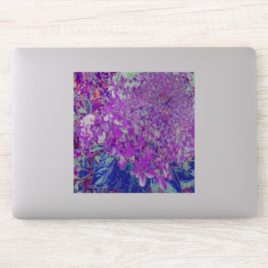 Elegante paarse en blauwe Limelight Hortensia Sticker (Computer)