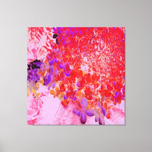 Elegante paarse en oranje Limelight Hortensia Canvas Afdruk (Voorkant)