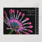 Elegante Paarse Exotic Daisy bruiloft uitnodiging (Achterkant)