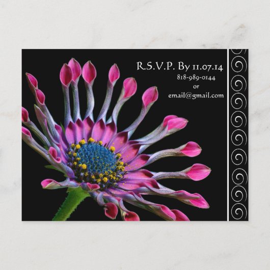 Elegante Paarse Exotic Daisy bruiloft uitnodiging (Achterkant)