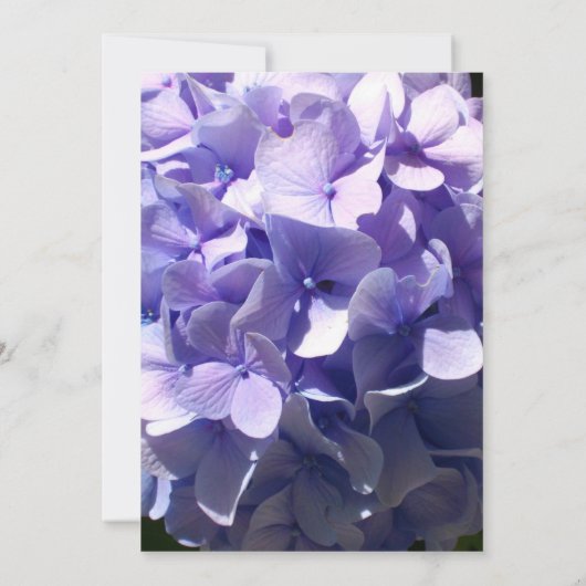 Elegante Paarse hortensia bloem bloemenbruiloft Kaart (Achterkant)