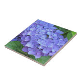Elegante Paarse Hortensia's Tegeltje (Zijkant)