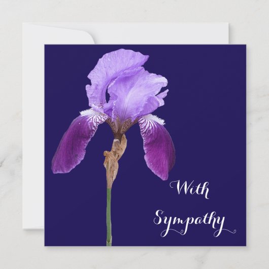 Elegante paarse iris bloem fine art lila sympathie kaart (Voorkant)
