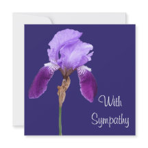 Elegante paarse iris bloem fine art sympathie lief