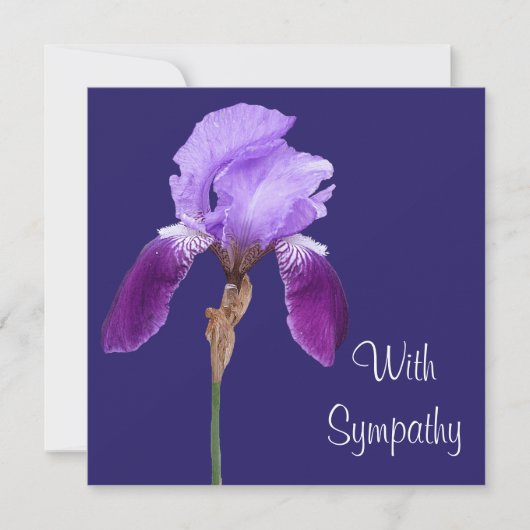 Elegante paarse iris bloem fine art sympathie lief kaart (Voorkant)