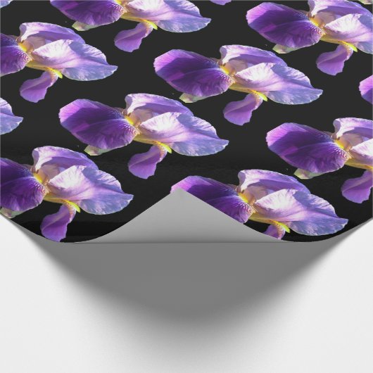 Elegante,  paarse irisbloem in zwart cadeaupapier (Hoek)