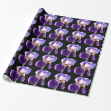 Elegante,  paarse irisbloem in zwart