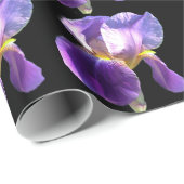 Elegante,  paarse irisbloem in zwart cadeaupapier (Rol Hoek)