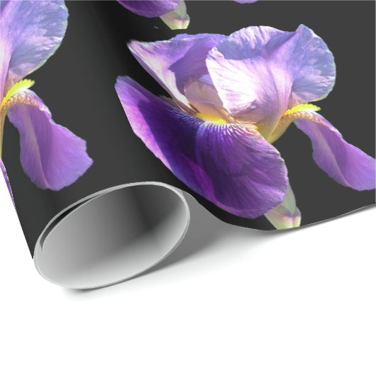 Elegante,  paarse irisbloem in zwart cadeaupapier (Rol Hoek)