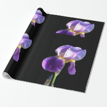Elegante,  paarse irisbloem in zwart
