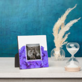 Elegante paarse lavendel lila bloemhortensia's fotoplaat (Insitu)