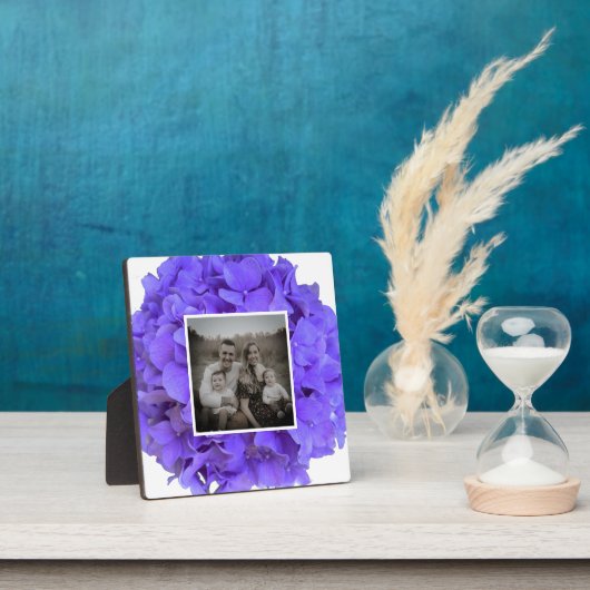 Elegante paarse lavendel lila bloemhortensia's fotoplaat (Insitu)