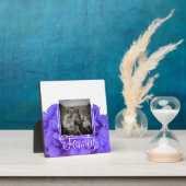 Elegante paarse lavendel lila bloemhortensia's fotoplaat (Insitu)