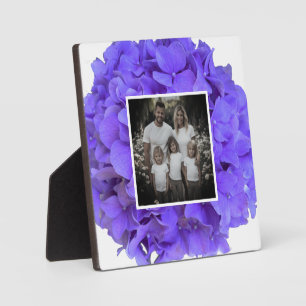 Elegante paarse lavendel seringen bloemige hortens fotoplaat