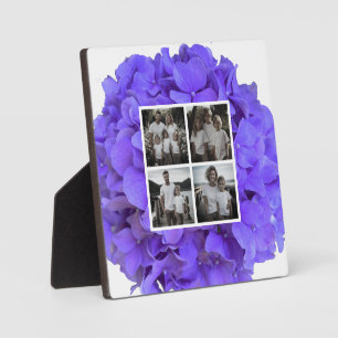 Elegante paarse lavendel seringen bloemige hortens fotoplaat