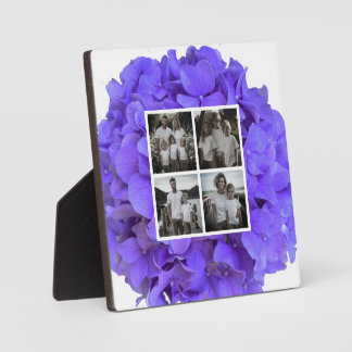 Elegante paarse lavendel seringen bloemige hortens fotoplaat