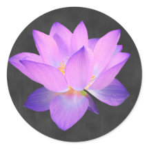 Elegante Paarse Lotus Sticker
