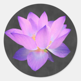 Elegante Paarse Lotus Sticker