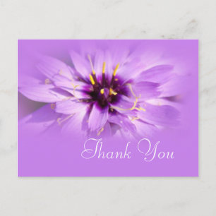 Elegante paarse madeliefjesbloem dank je postkaart