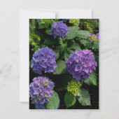 Elegante paarse magenta roze bloemen hortensia's bedankkaart (Achterkant)