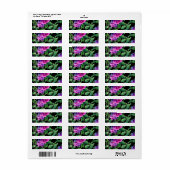 Elegante paarse magenta waterverf bloemen etiket (Full Sheet)