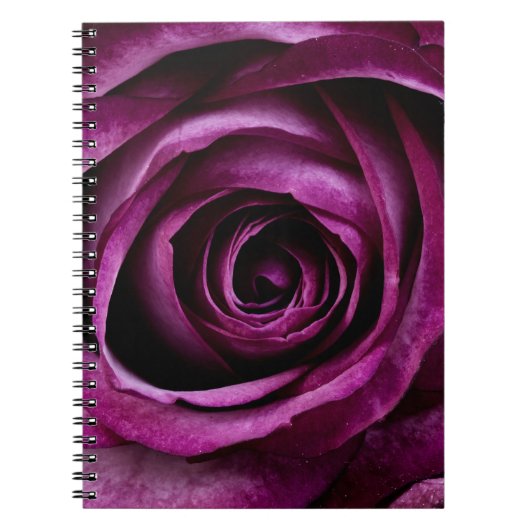 Elegante Paarse Roos Close-up Notitieboek (Voorkant)