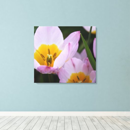 , elegante paarse tulpbloemen. Floral Canvas Afdruk (Insitu (Houten vloer))