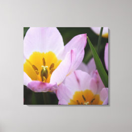 , elegante paarse tulpbloemen. Floral Canvas Afdruk