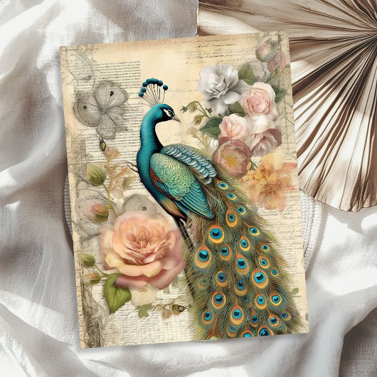 Elegante  pauw en blush rozen tissuepapier