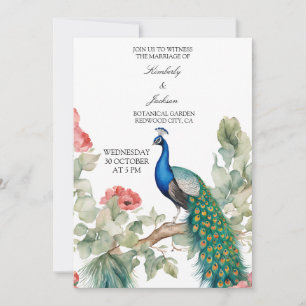 Elegante Pauw Kaart