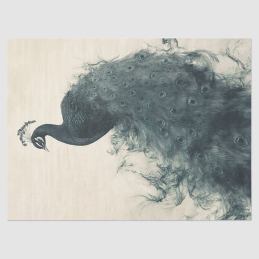 Elegante pauw ornithologie geïnspireerde decoupage tissuepapier (Voorkant)