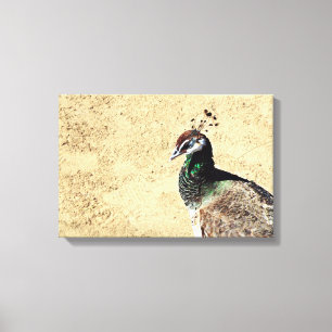 Elegante Pauw Vogel en Veerkunst Canvas Afdruk