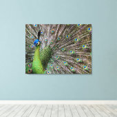 Elegante Pauw Vogel en Veerkunst Canvas Afdruk (Insitu (Houten vloer))