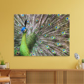 Elegante Pauw Vogel en Veerkunst Canvas Afdruk (Insitu (Woonkamer))
