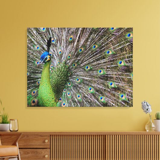 Elegante Pauw Vogel en Veerkunst Canvas Afdruk (Insitu (Woonkamer))