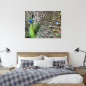 Elegante Pauw Vogel en Veerkunst Canvas Afdruk (Insitu (Slaapkamer))