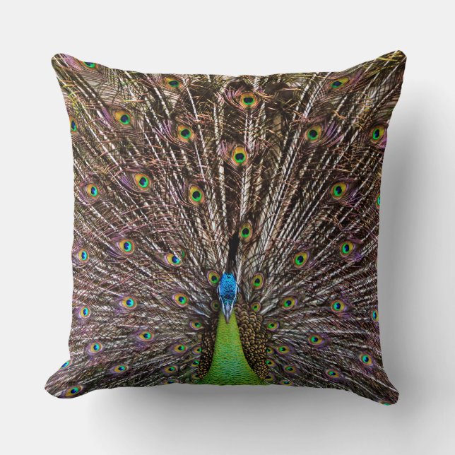 Elegante Pauw Vogel en Veerkunst Kussen (Voorkant)