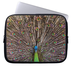 Elegante Pauw Vogel en Veerkunst Laptop Sleeve