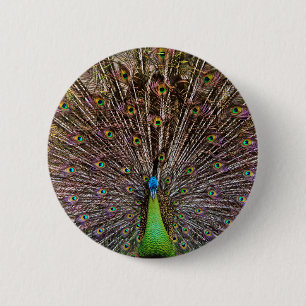 Elegante Pauw Vogel en Veerkunst Ronde Button 5,7 Cm
