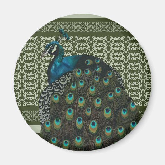 Elegante pauw vogel liefhebbers magneet (Voorkant)