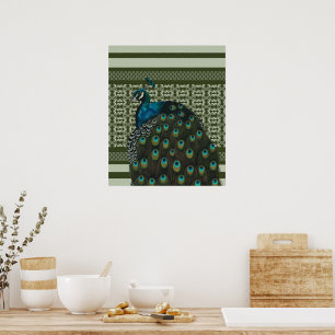 Elegante pauw vogel liefhebbers poster